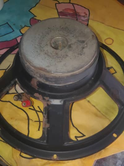 dj speaker  12 inch and 10