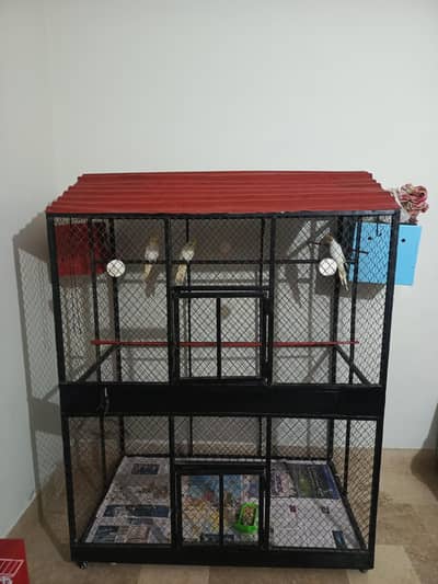 Big size cage