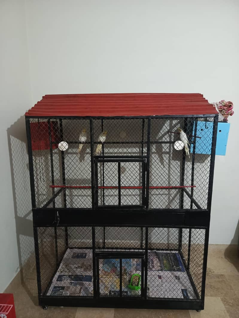 Big size cage 0