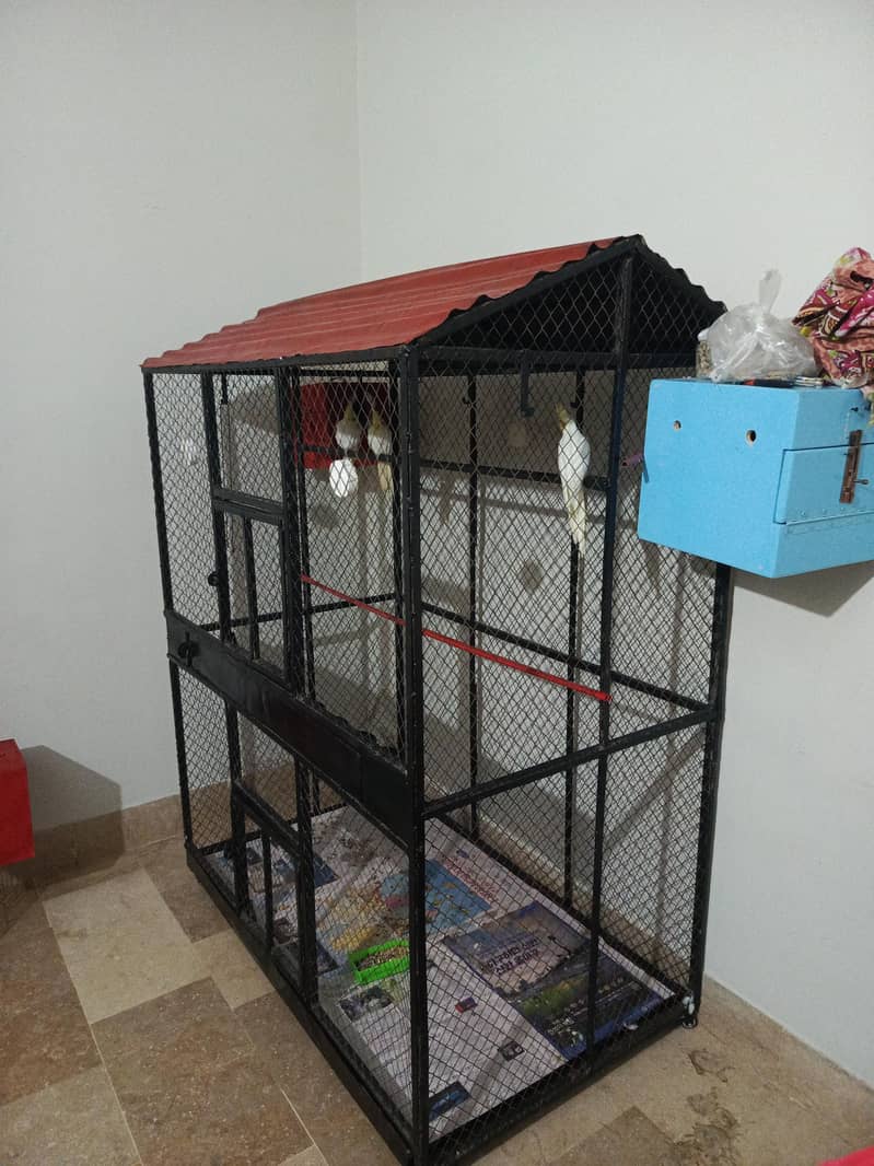 Big size cage 1