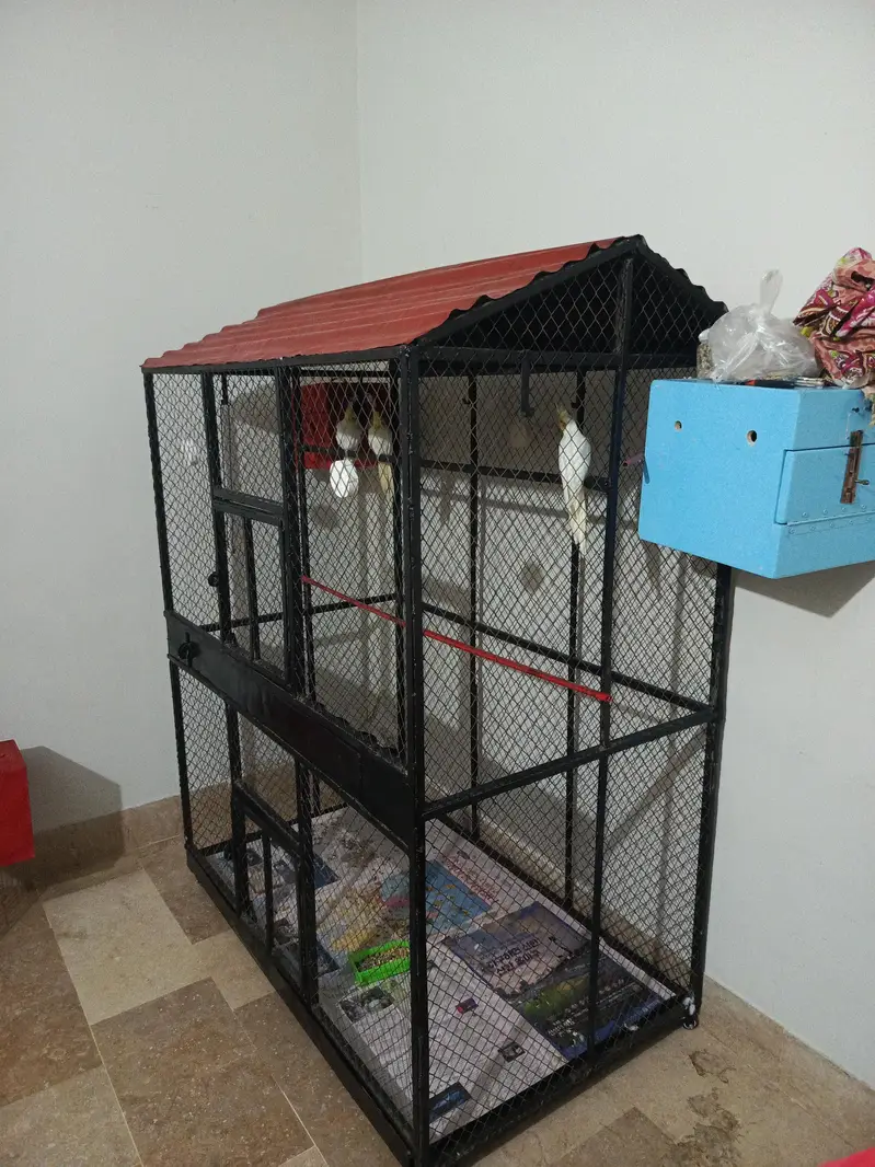 Big size cage — photo 2