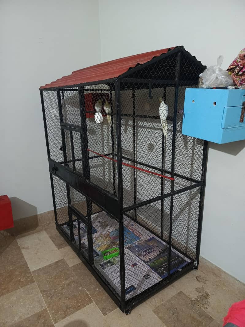 Big size cage 2