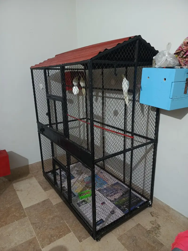 Big size cage — photo 3
