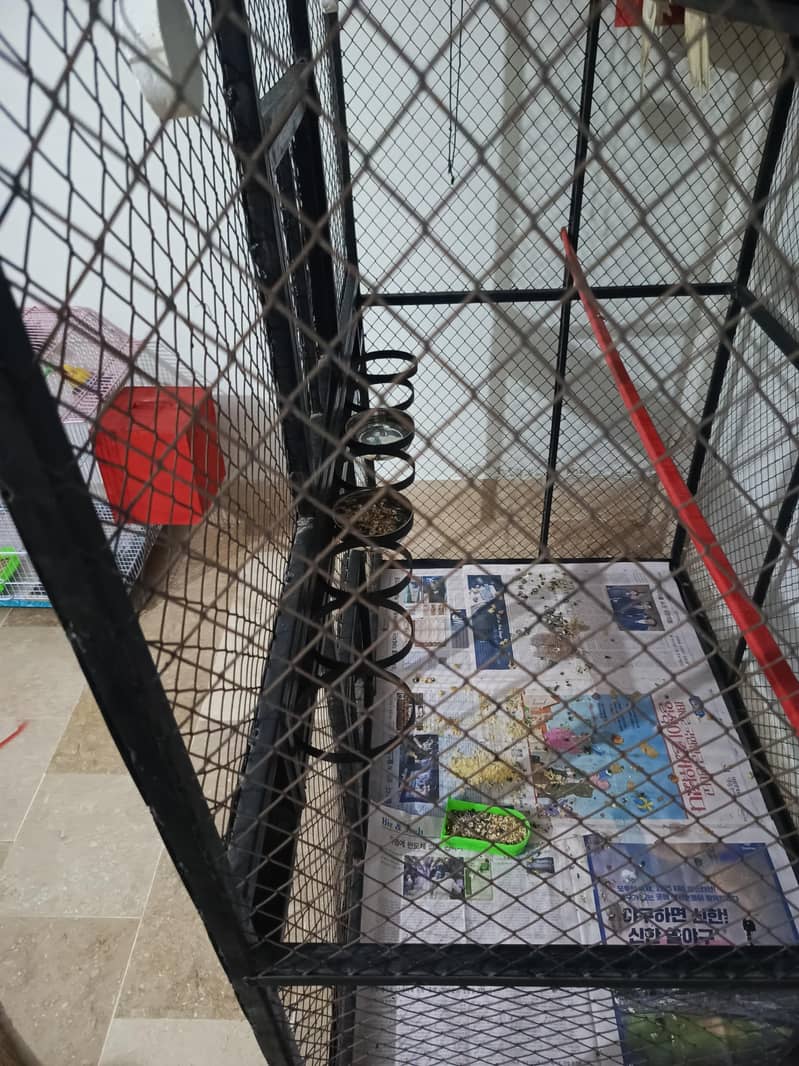 Big size cage 3