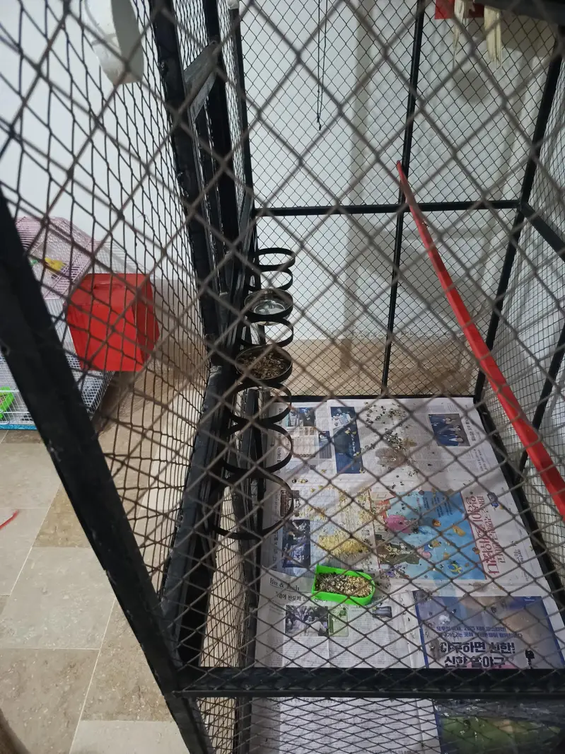 Big size cage — photo 4