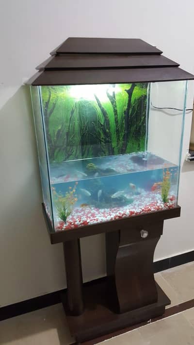 Fish Aquarium