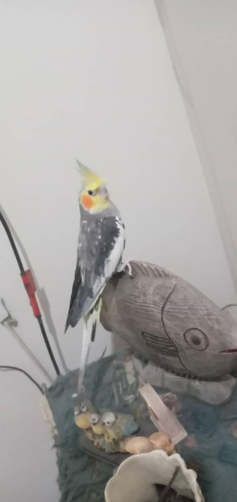 cocktail 0