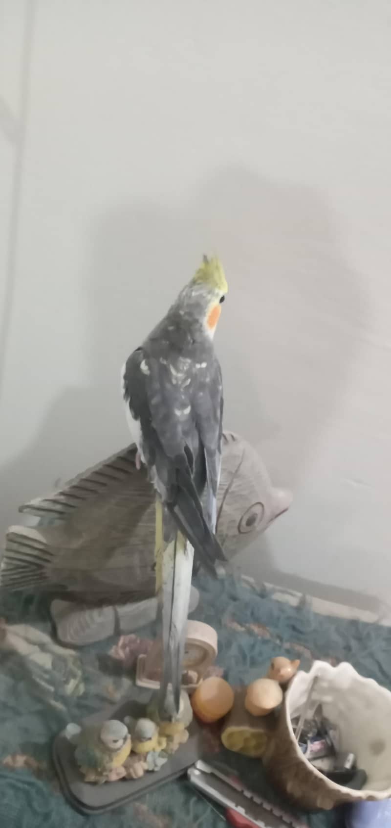 cocktail 9