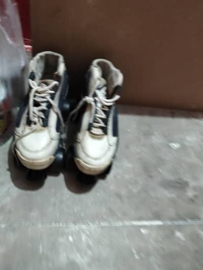 skates shoes