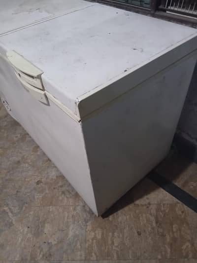 D freezer