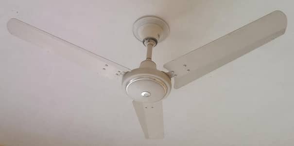 10Fans for seall