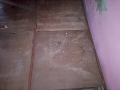 Wooden double bed  only bed