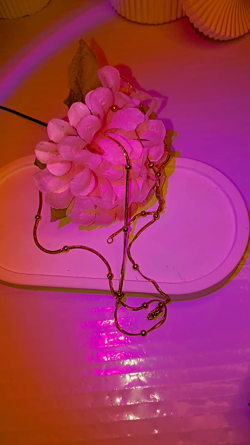 stainless chain 0