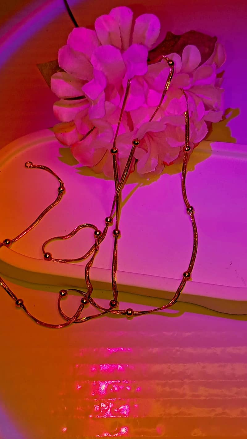 stainless chain 2