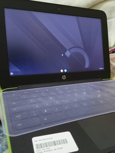 hp Chromebook laptops