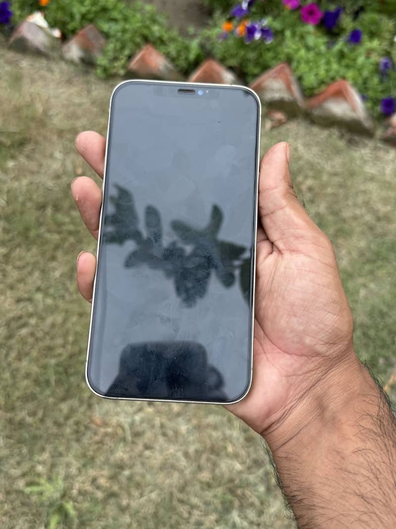 Iphone 12 pro max 0