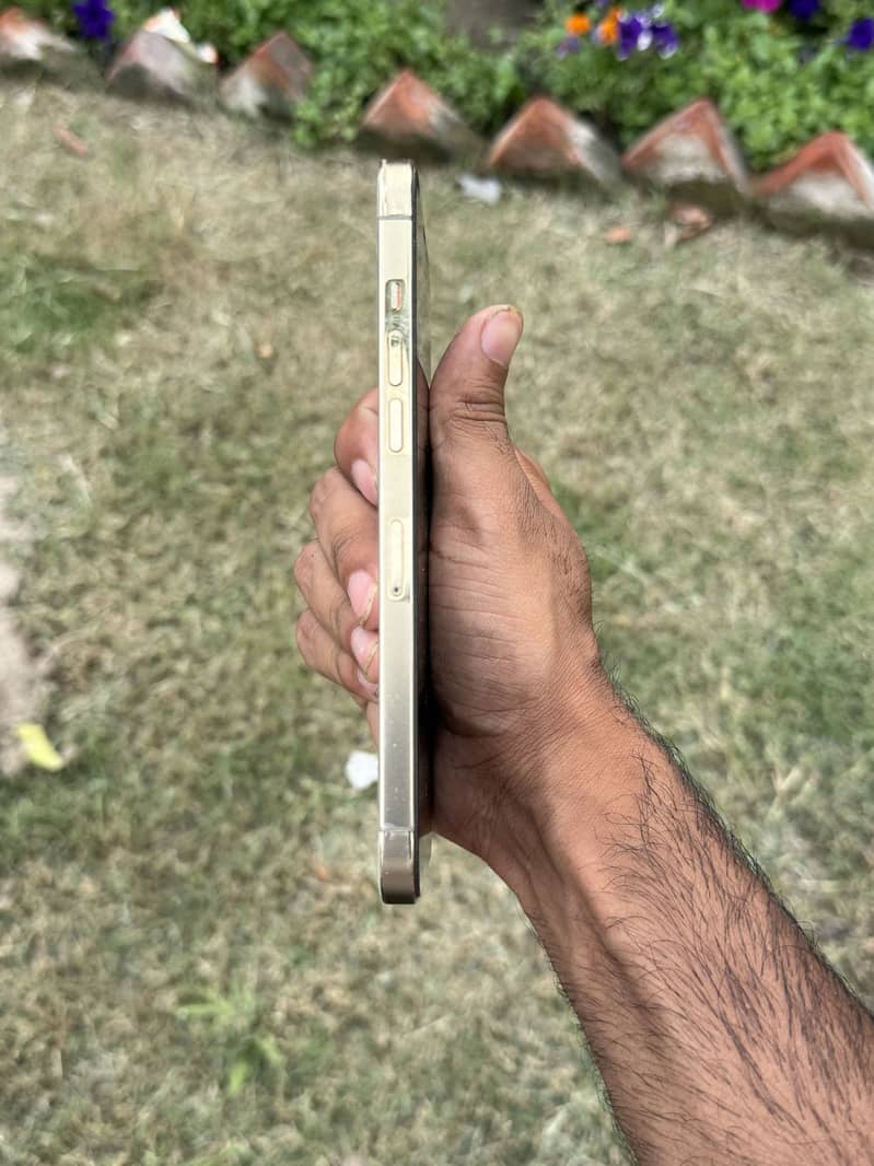 Iphone 12 pro max 1