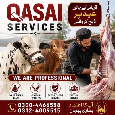 Qurbani | Qasai Qasab | Zibah Slaughter butcher | Meat Cow bakra kasai