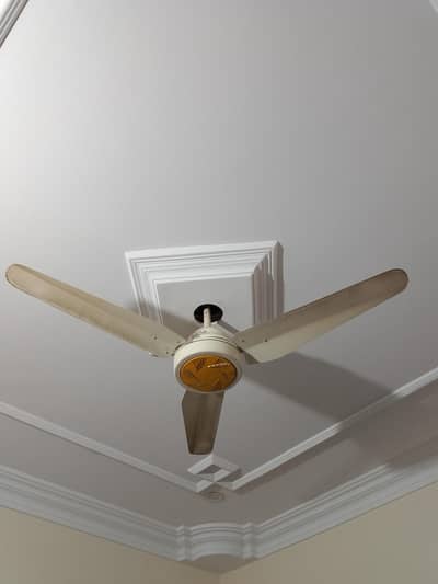 AC / DC FAN FOR SALE