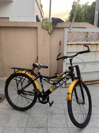 Sumac Bicycle
