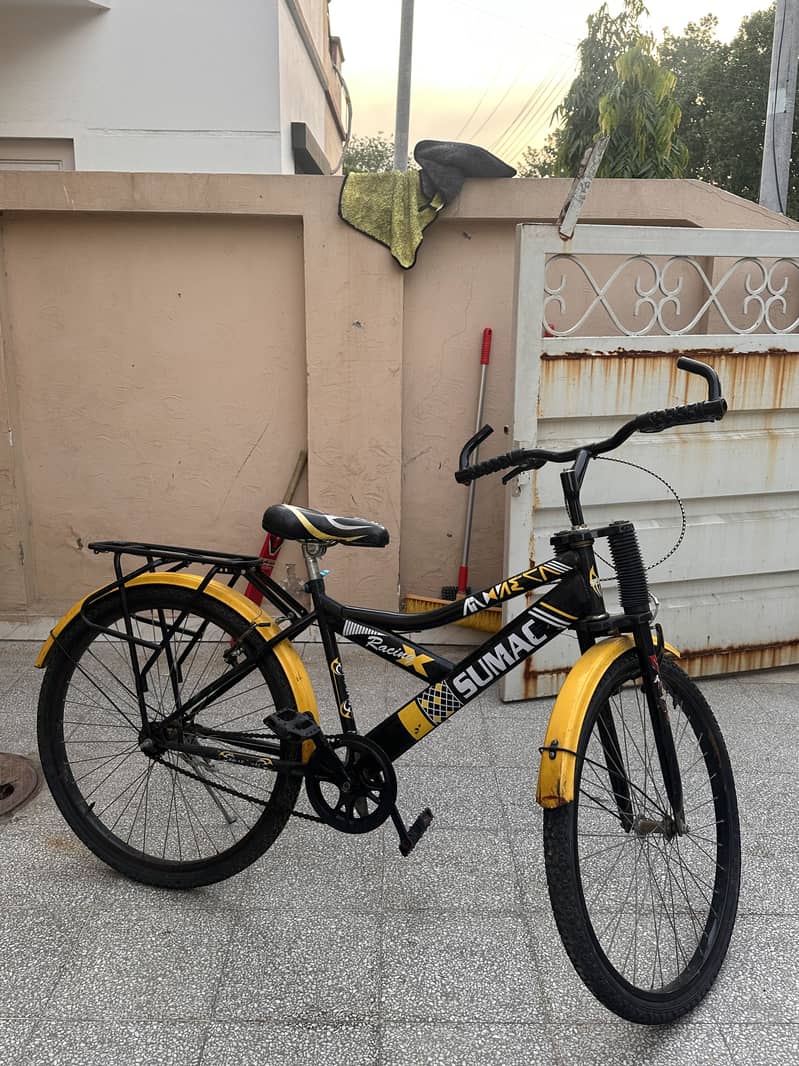 Sumac Bicycle 0