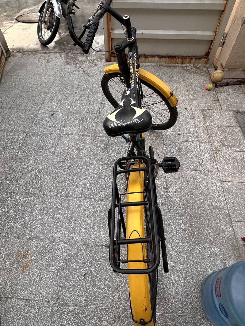 Sumac Bicycle 1