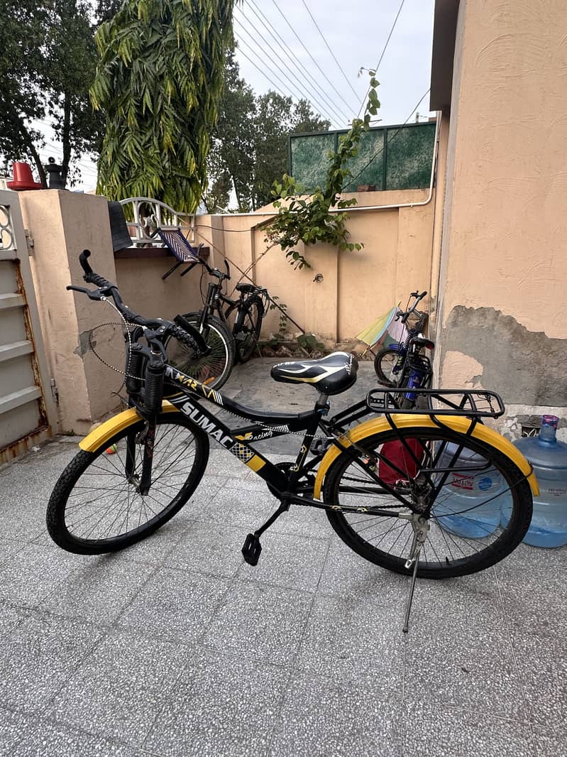 Sumac Bicycle 2