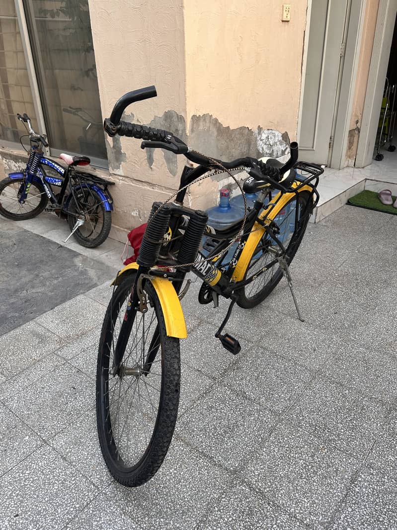 Sumac Bicycle 3