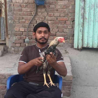 Salmoon Randhawa Sharoon