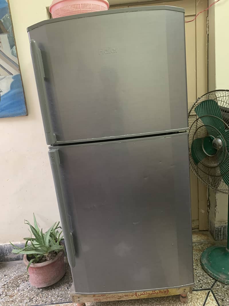 Fridge 5
