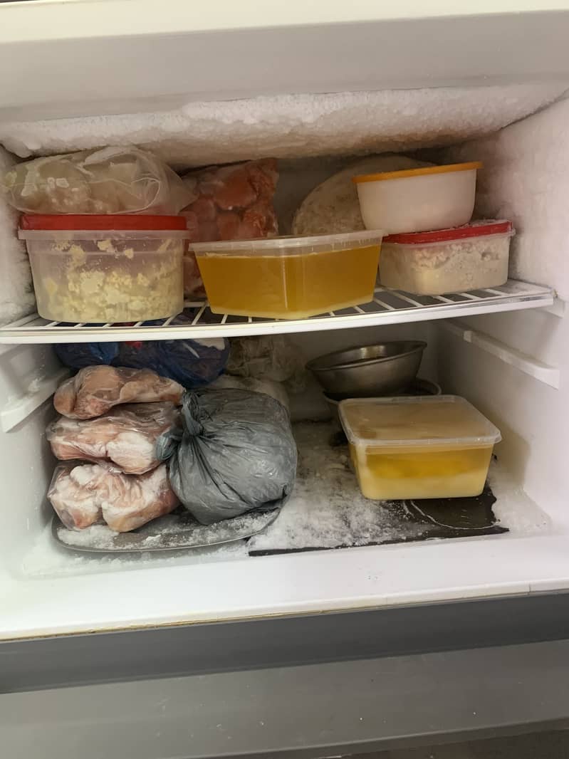 Fridge 6
