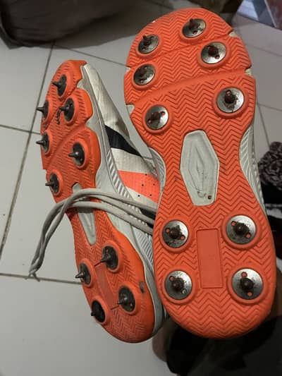 Jazba Cricket spikes for sale ( used )