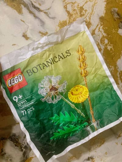 Lego Ninjago set