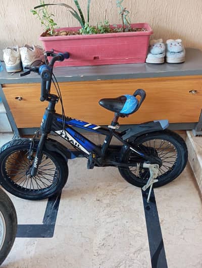 Bicycle