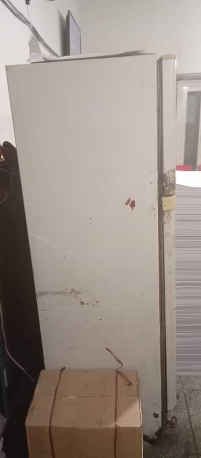 Fridge