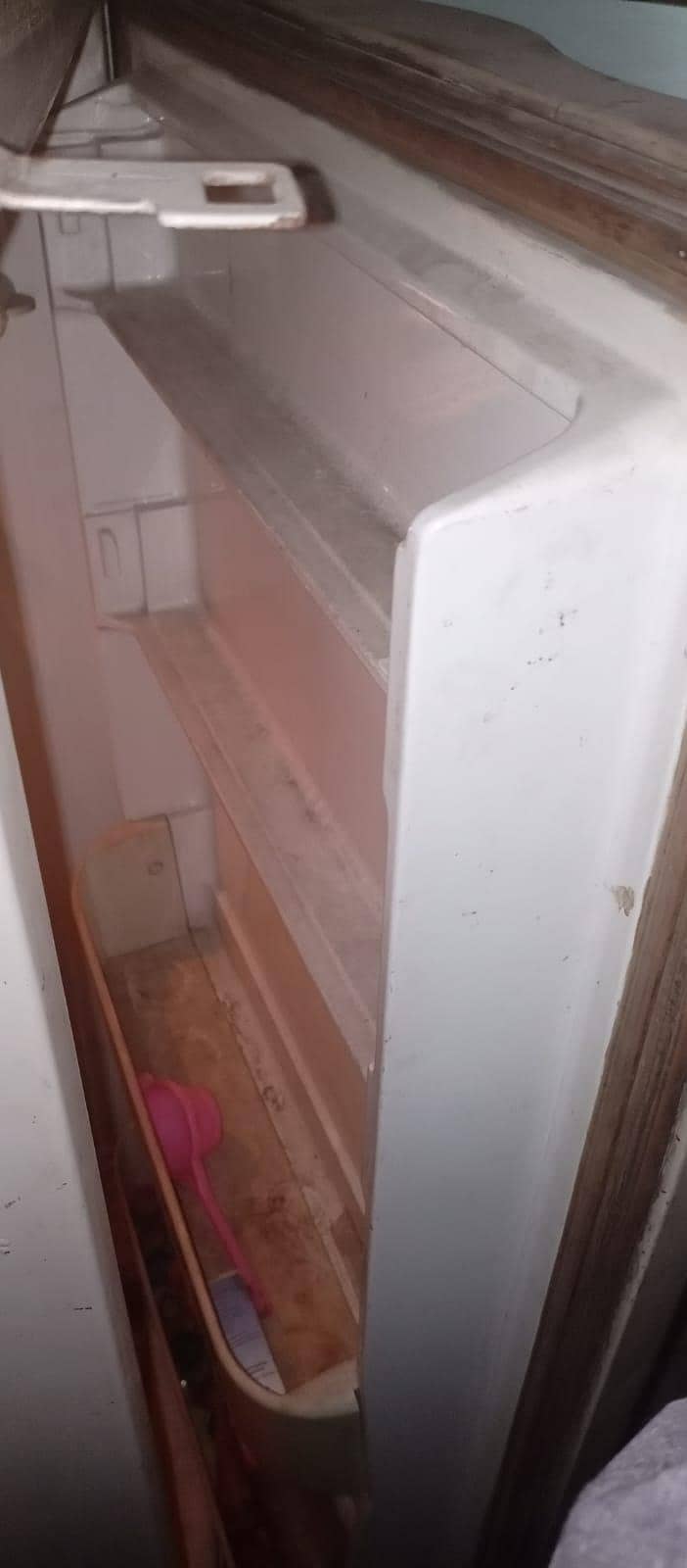 Fridge 3