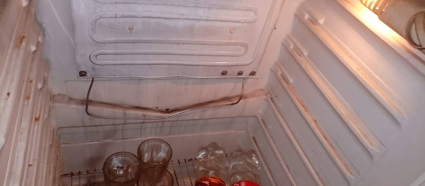 Fridge 5