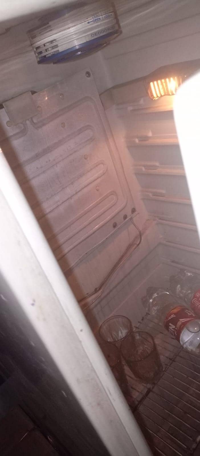 Fridge 6