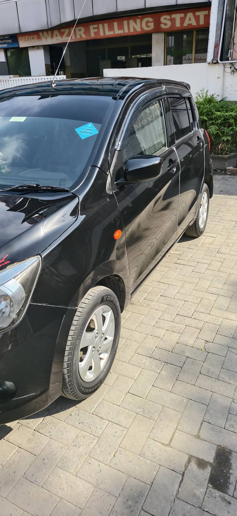 2019 model 2