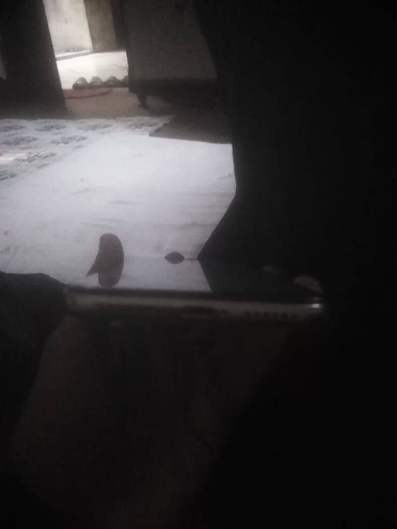iPhone x bypass 2