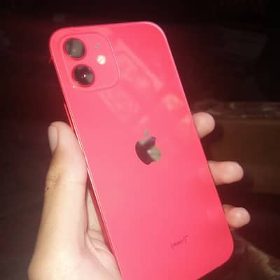 Apple iPhone 12
