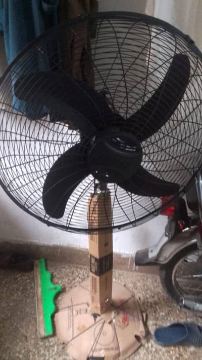 Royal padestal fan new