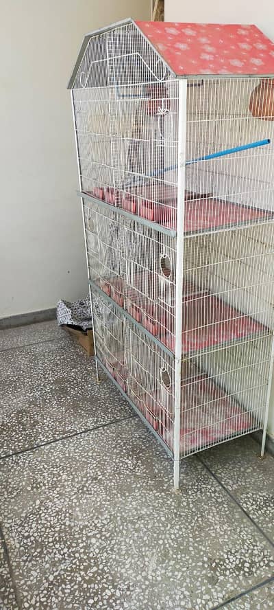 Bird Cage