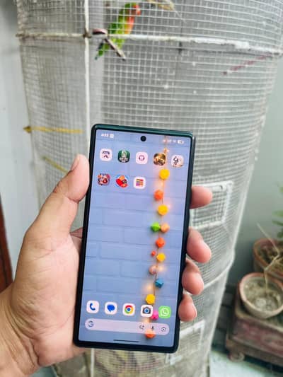 google pixel 6 8/128