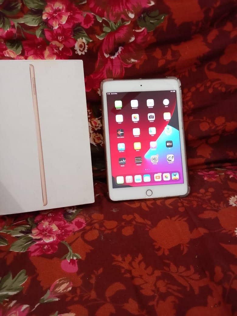 iPad mini 5 0