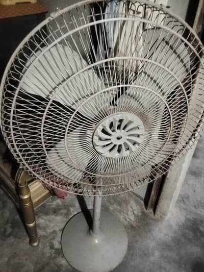 padistal pak fan