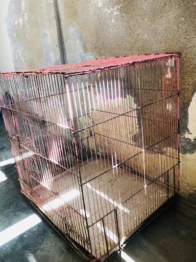 Cage for Sale
