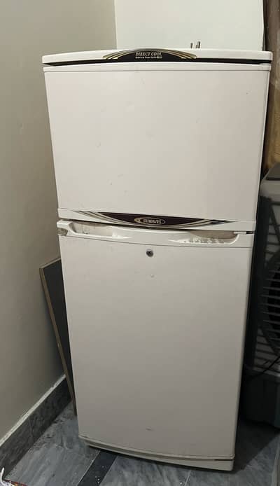 Waves fridge