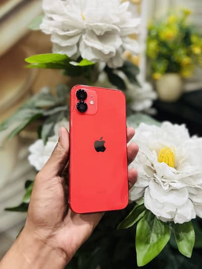 IPHONE 12