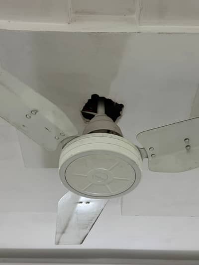 Royal Ceiling Fan 56" - Pure Copper Winding - With Original Box